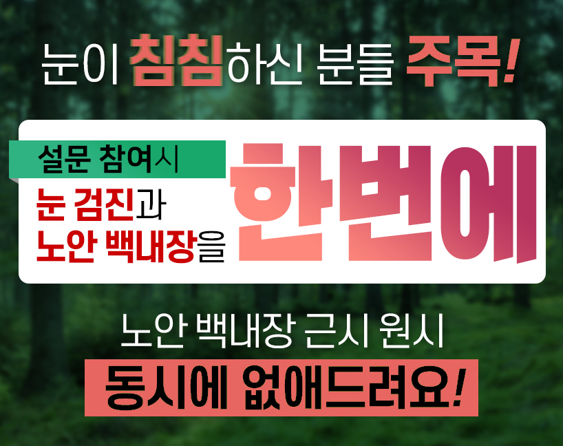 이미지명